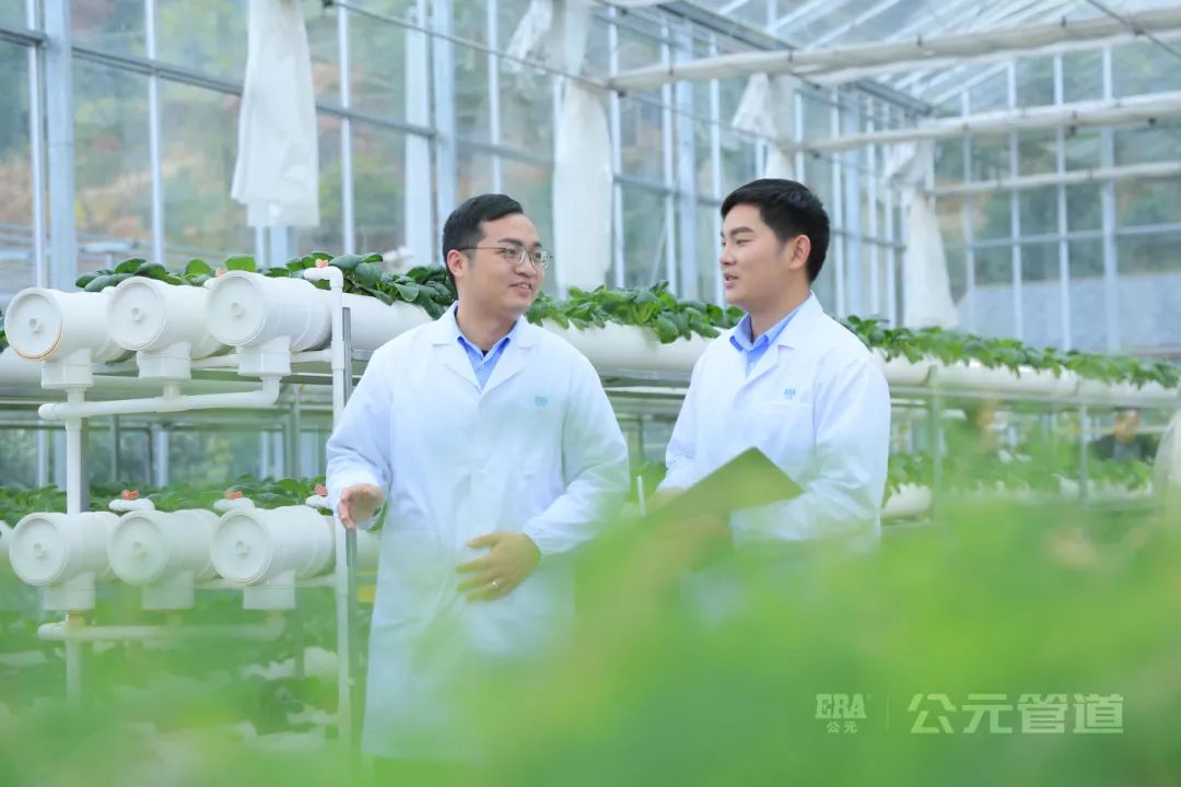 yp街机·电子游戏(中国)官方网站