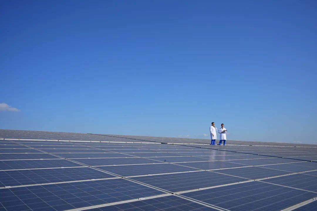 yp街机·电子游戏(中国)官方网站